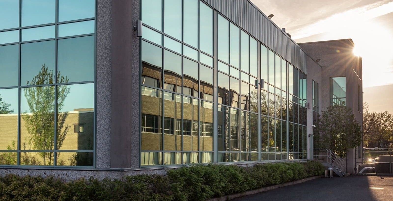 commercial window tinting Boca Raton