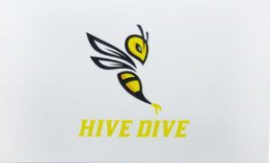 Hive Dive