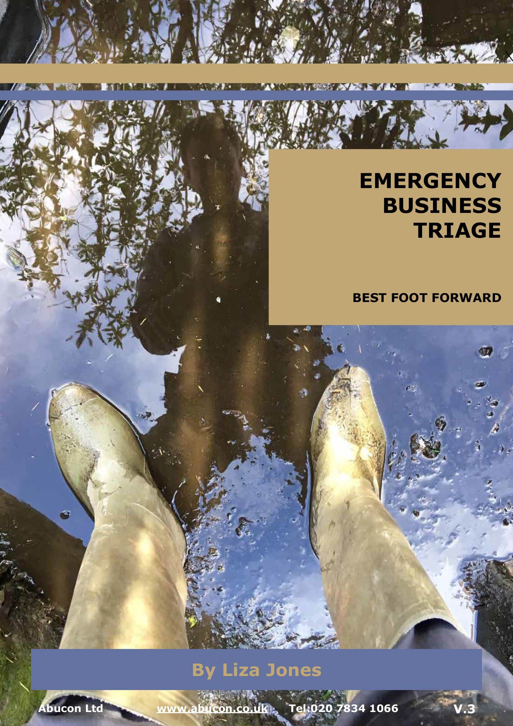 Emergency Business Triage