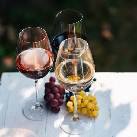 degustazione vini