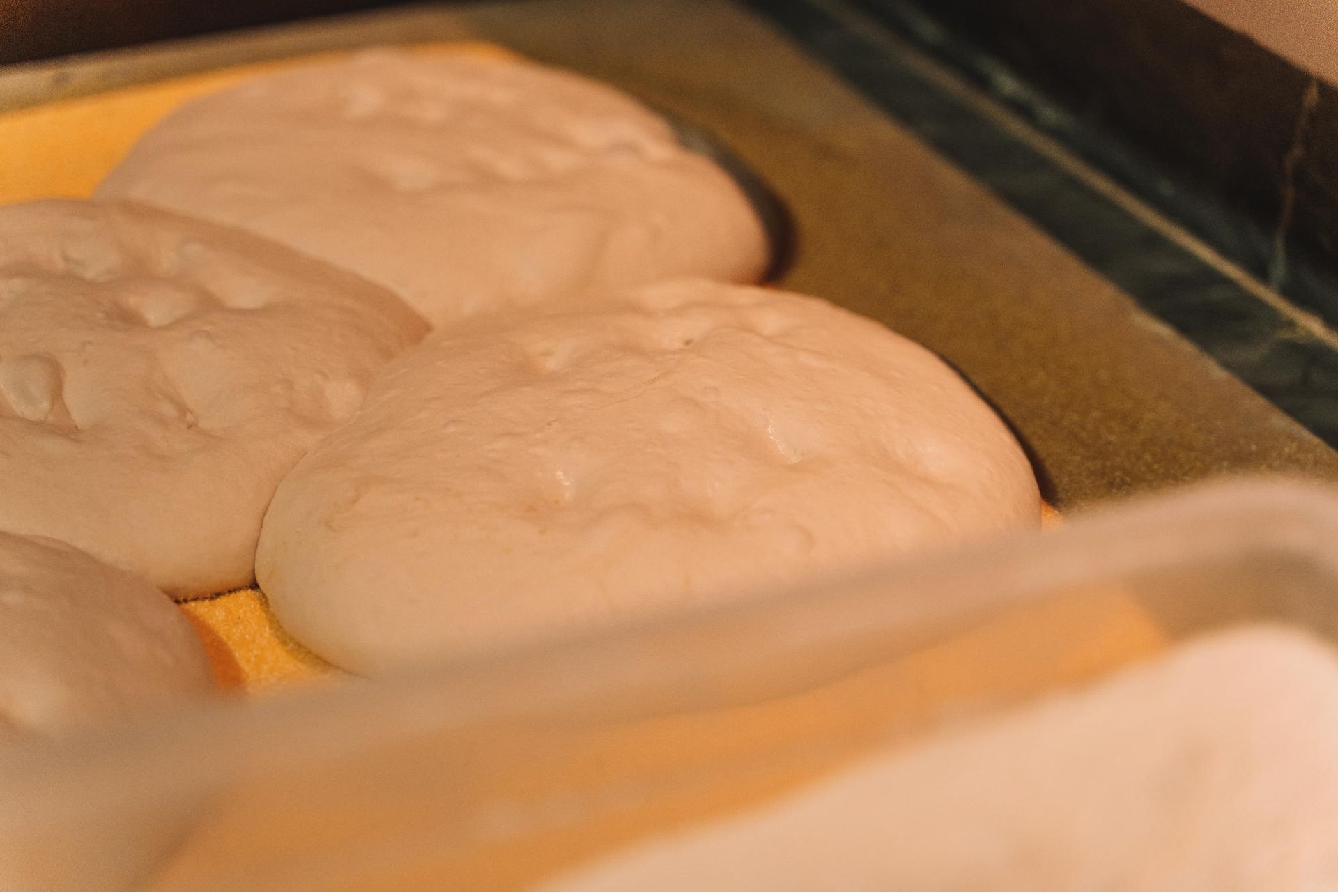 focaccia lenta lievitazione Focacceria Francesco Sarzana