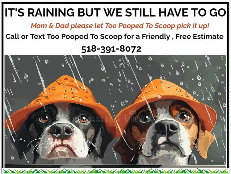 Two dogs in rain hats, ad for