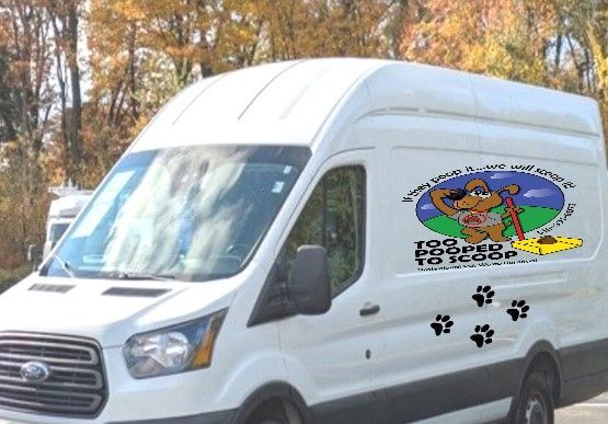 White van with dog logo and paw prints, parked outdoors.