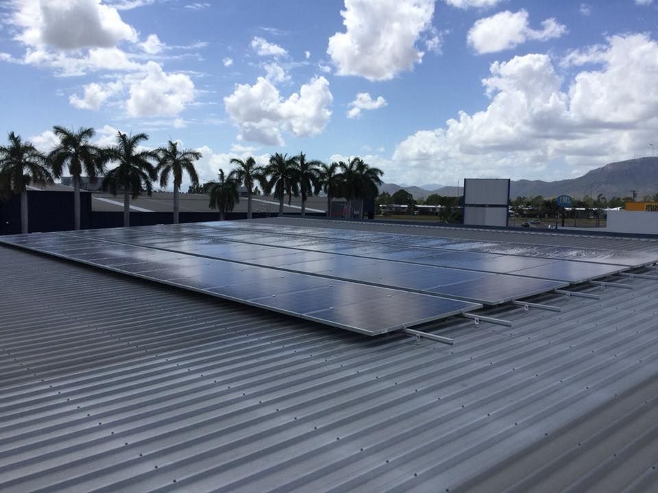 Large solar panel array on a commercial corrugated roof in Townsville, with palm trees lining the property