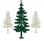 A large, dark green pine tree centered between two smaller, light gray pine trees against a white background.