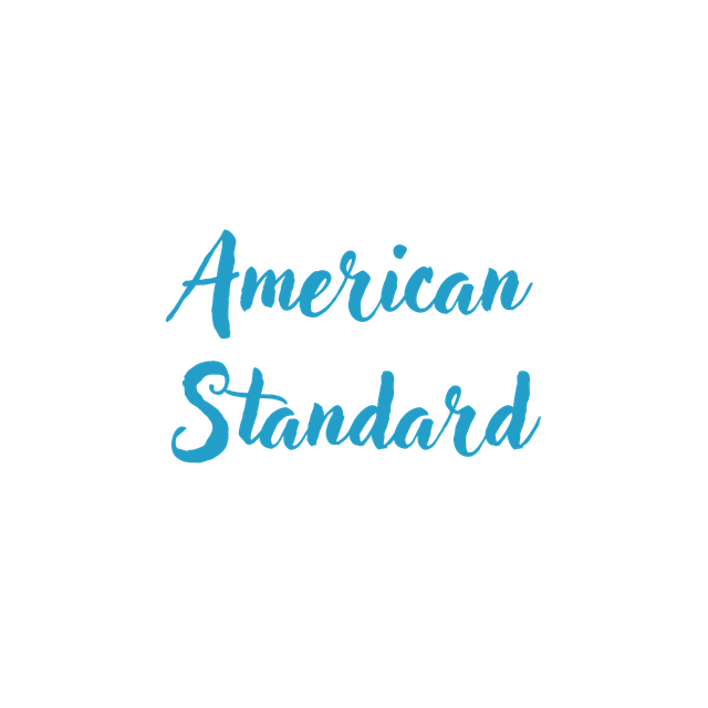 Heavy Metal HVAC LLC -American Standard logo in light blue script font.