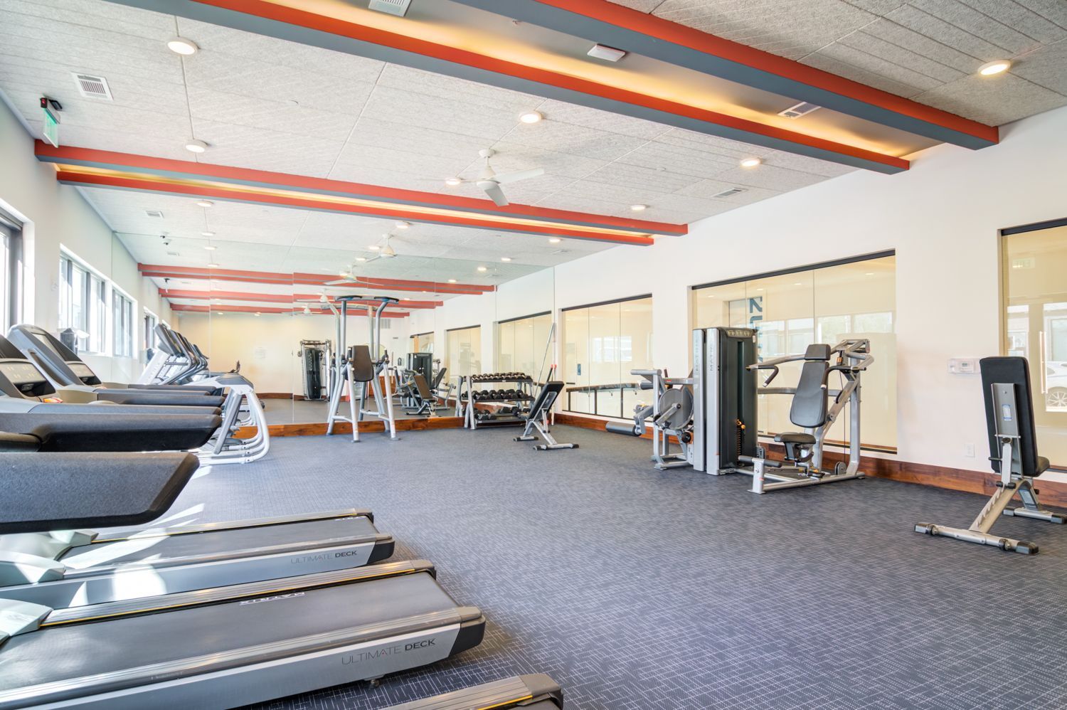 Bright gym interior with treadmills, weight machines, and large windows