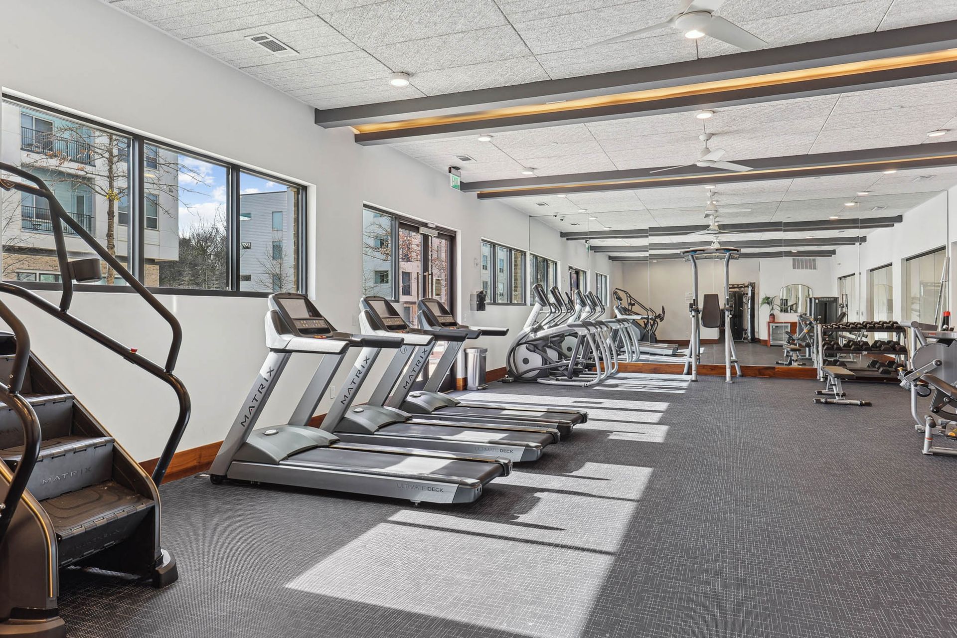 Bright gym interior with treadmills, exercise equipment, mirrors, and large windows