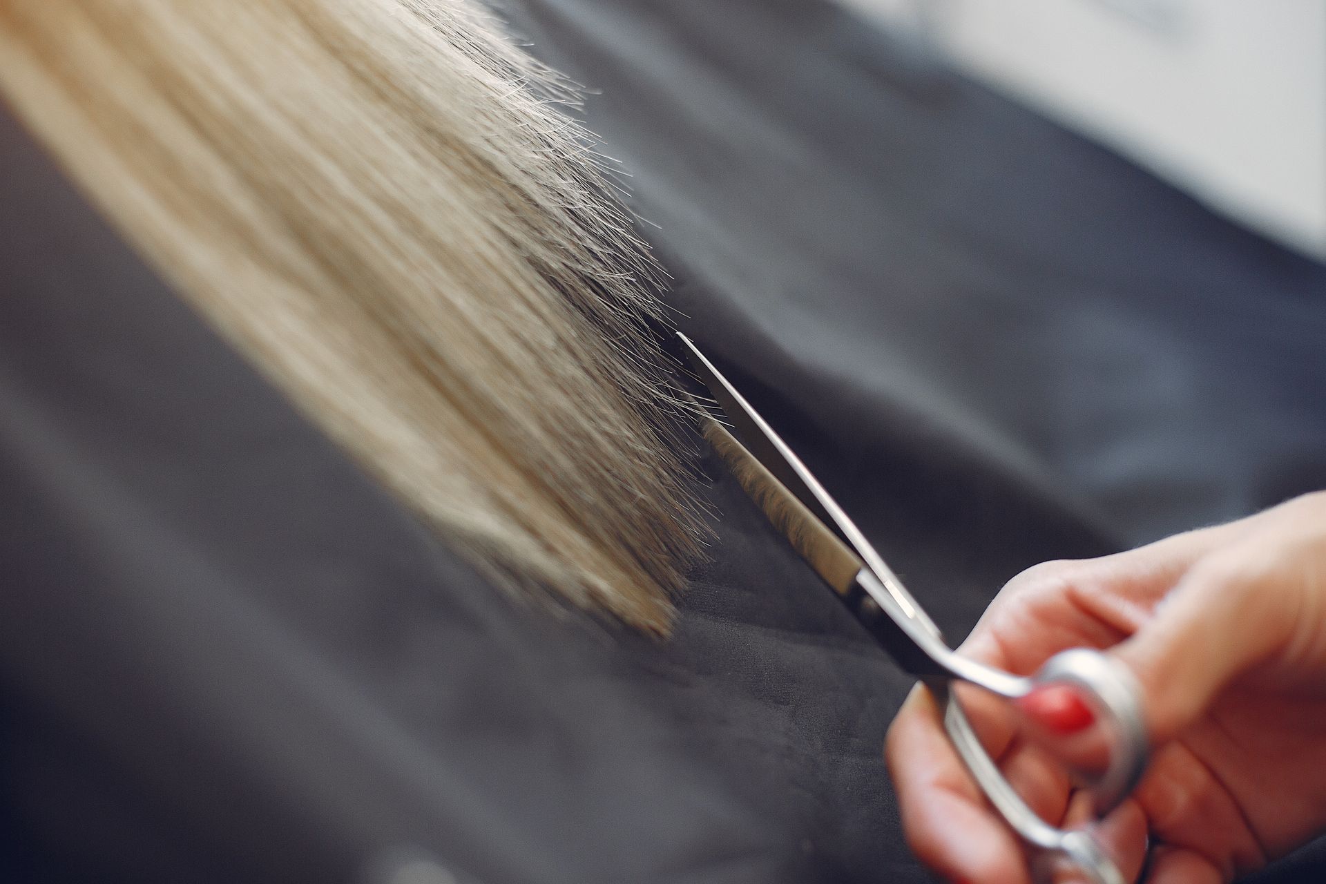 cortar el pelo