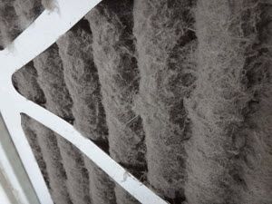 a close up of a dirty air filter with a lot of dust on it .