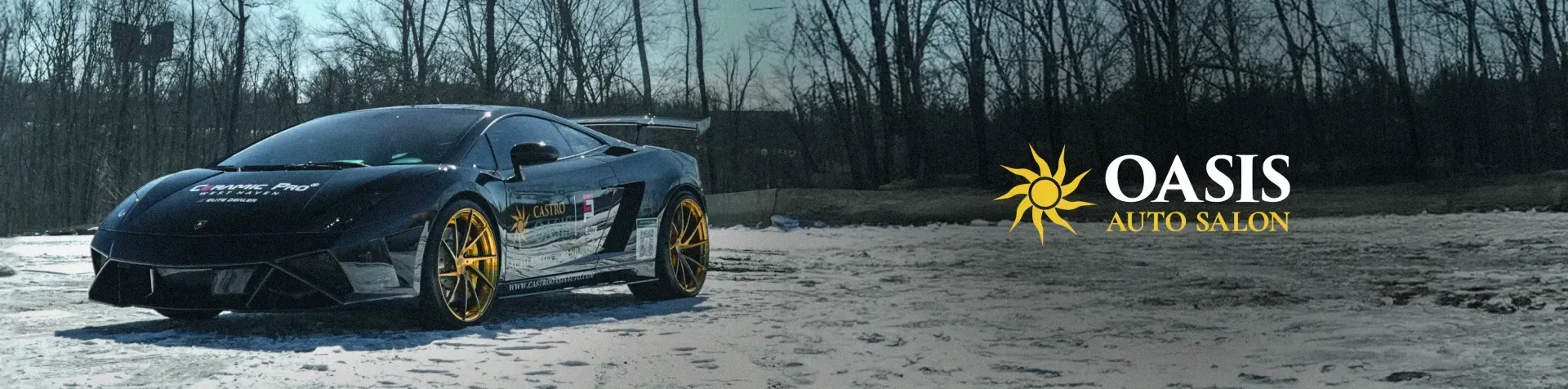 A metallic-finish sports car with gold wheels parked in an open lot with trees in the background, near an Oasis Auto logo.