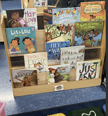 Classroom books