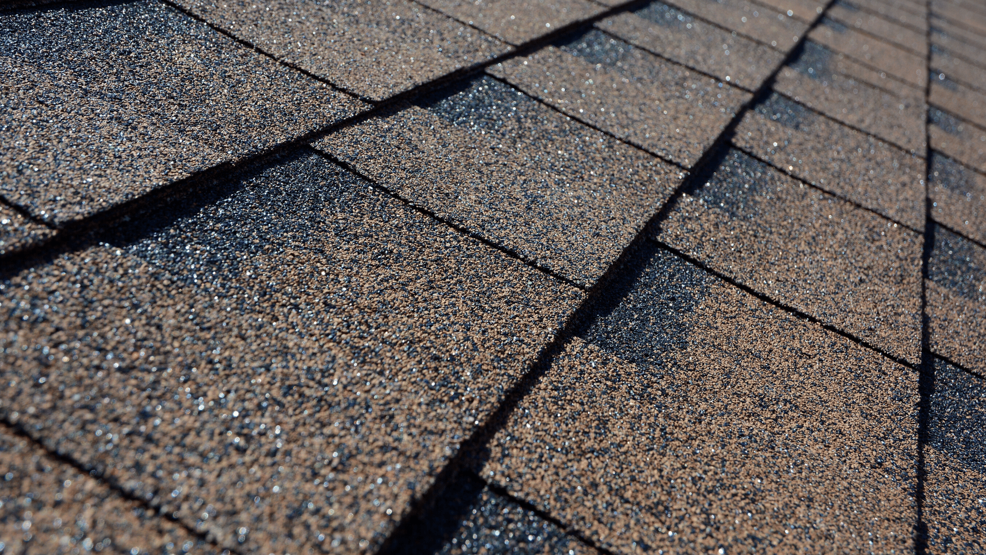 ROOF SHINGLES