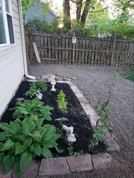 There is a fence in the background and a garden in the foreground. There is a fence in the background and a garden in the foreground.