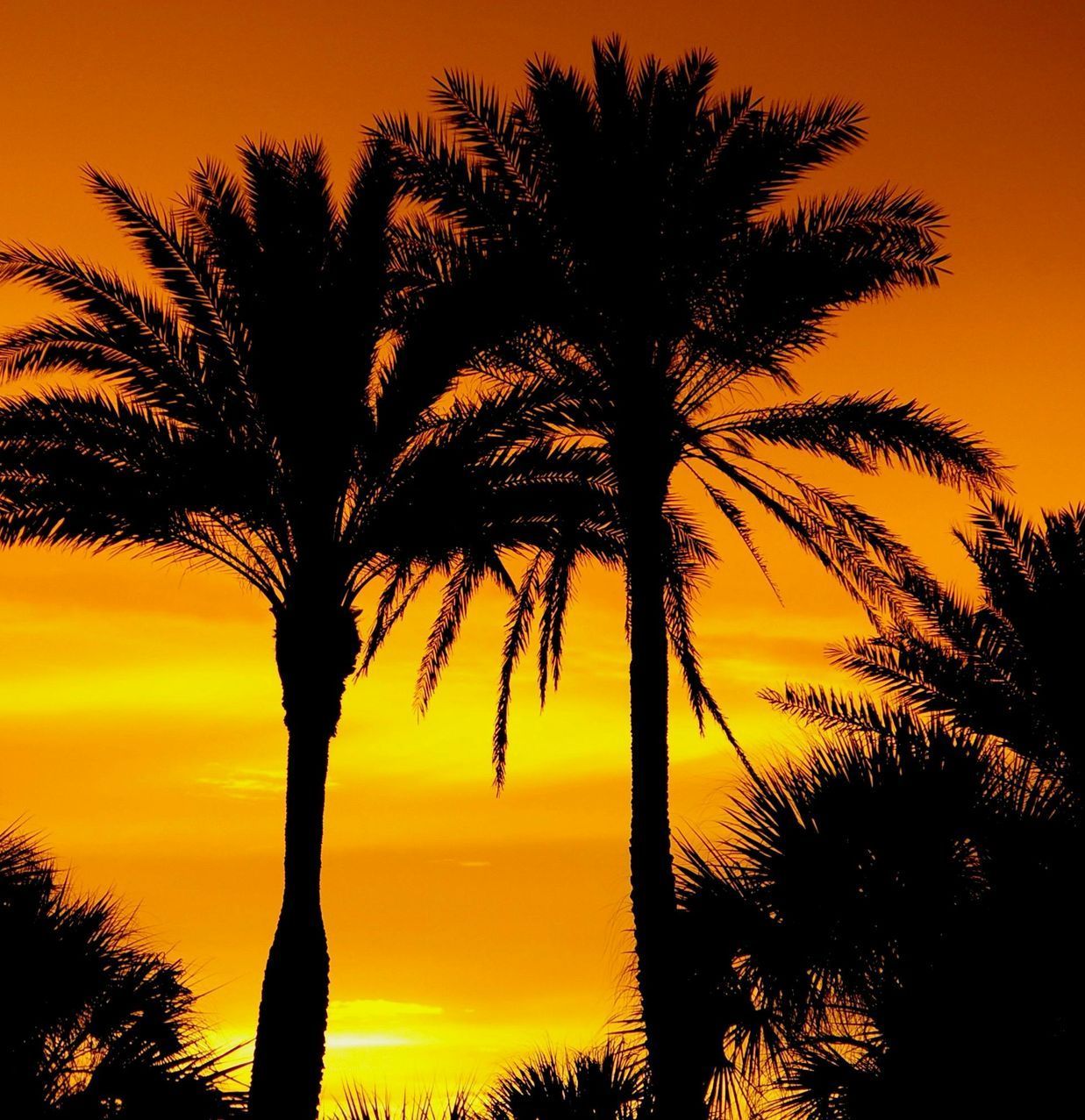 Jacksonvill, Florida