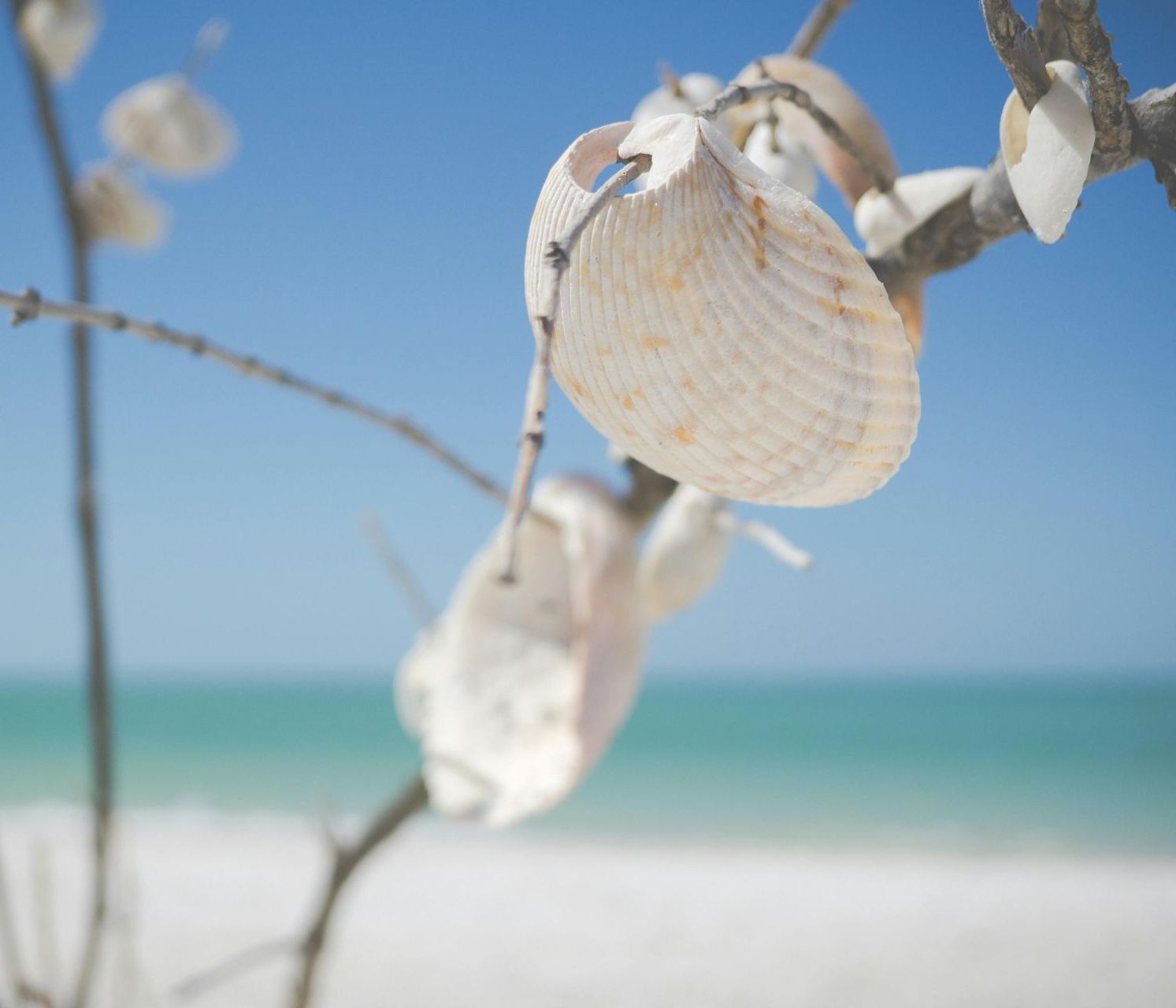 Jacksonvill, Florida