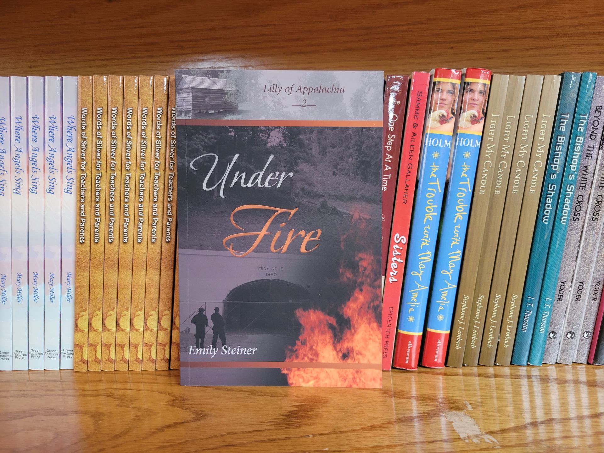 History and Historical Christian Books — New Holland, PA — Cedar Lane Dry Goods and Quilts