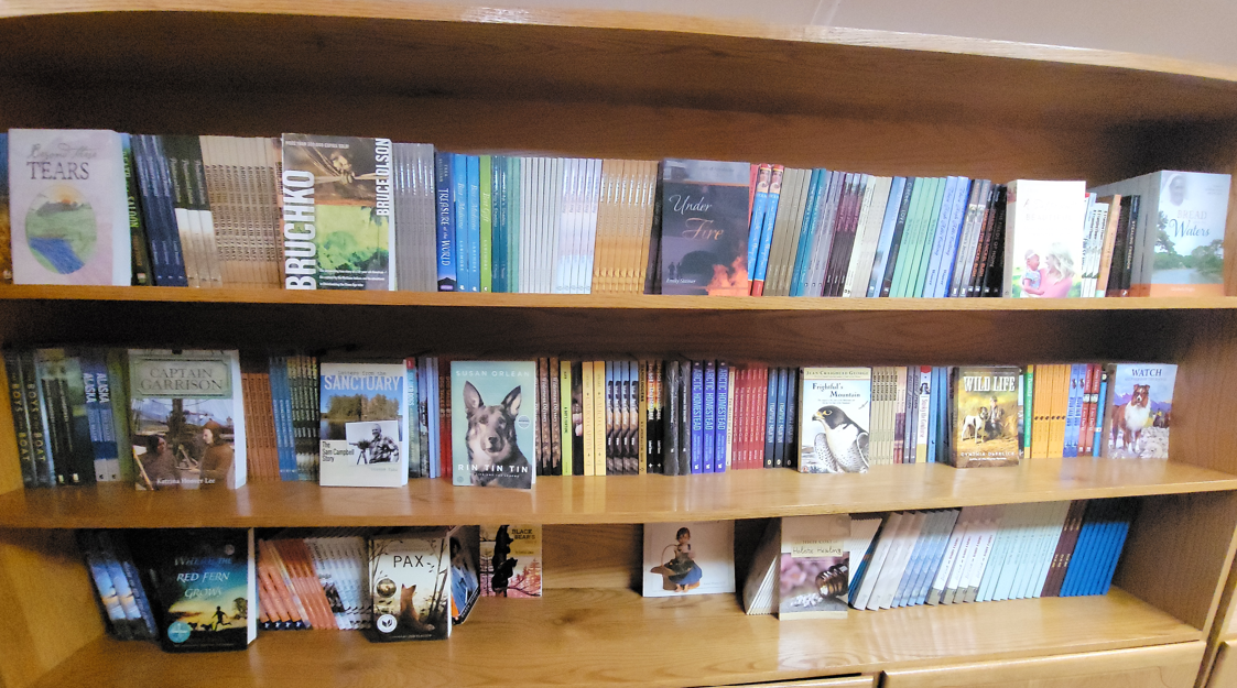 Young Adult Pre-Teen Books — New Holland, PA — Cedar Lane Dry Goods and Quilts