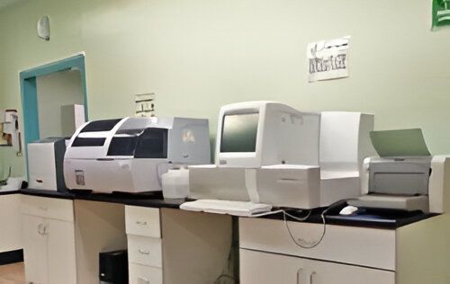 LABORATORIO DEL VALLE - química clínica
