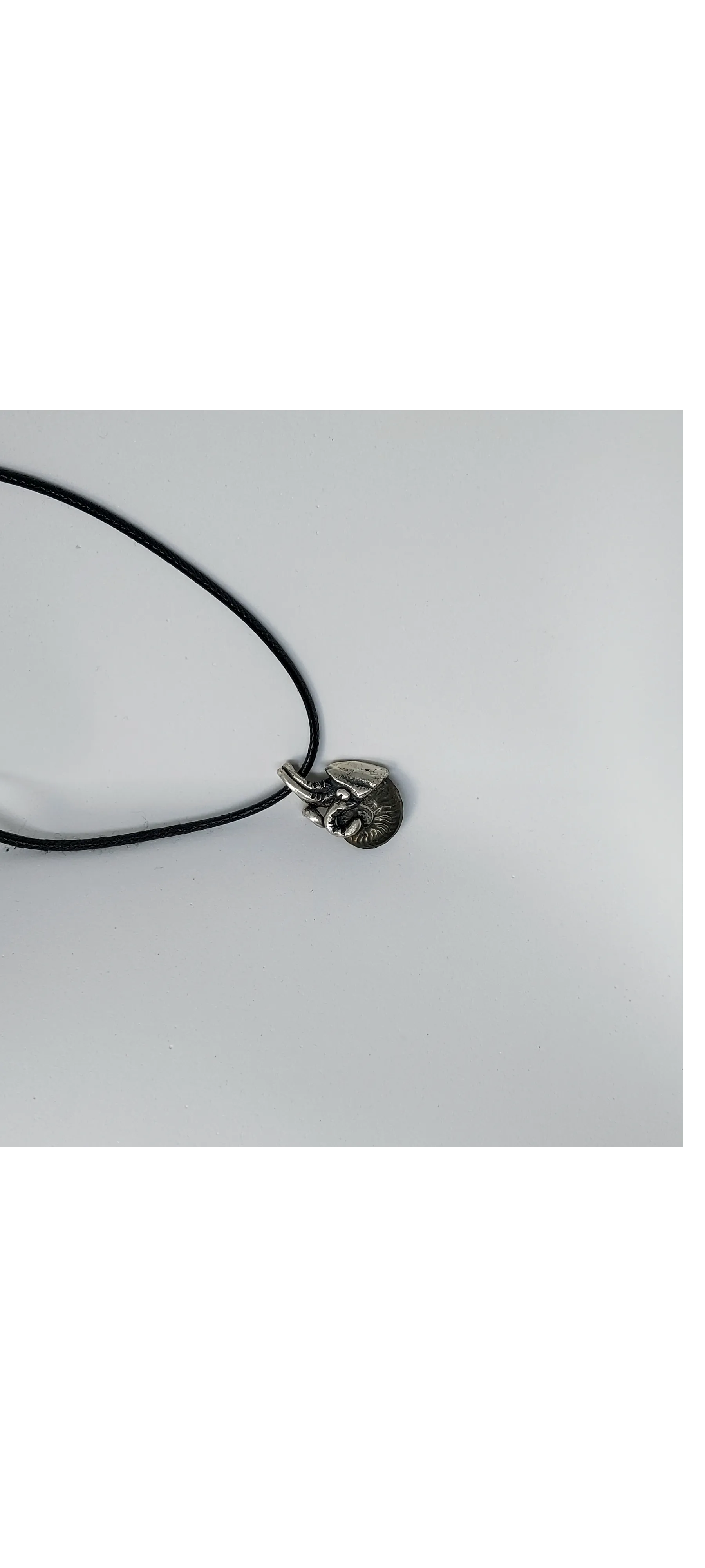 M13 op vraag van mijn zoontje een nautulis hanger gemaakt van zijn nautulis fossiel. Geboetseerd in was en daarna gegoten in zilver.