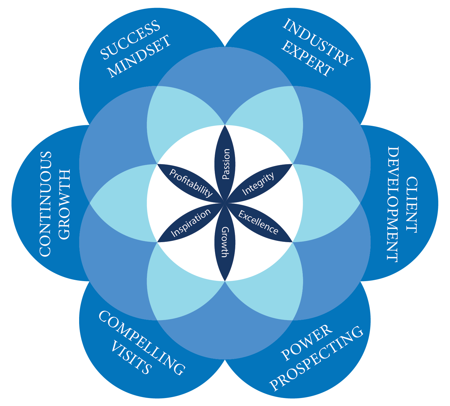 A blue circular graphic with six outer petals labeled with professional pillars, surrounding a core of six values.