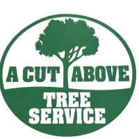 A Cut Above Tree Service A Cut Above Tree Service