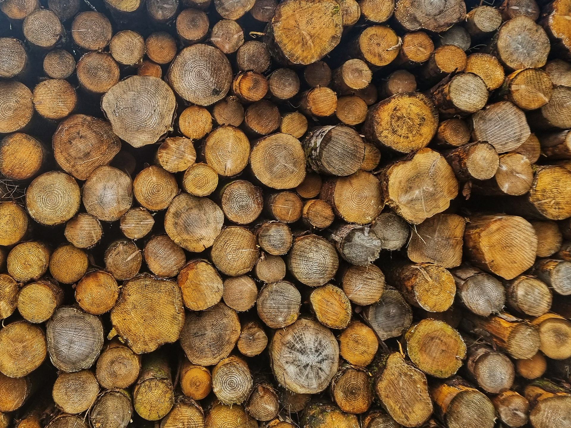 Timber log pile - Peoria, IL - A Cut Above Tree Service