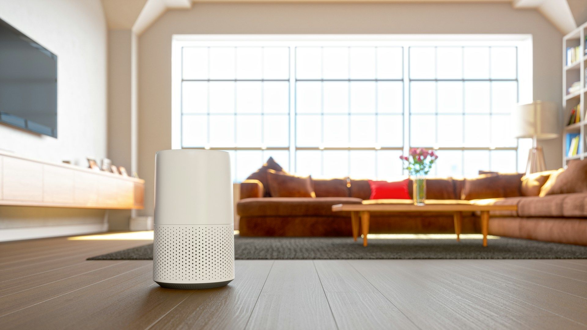 dehumidifier