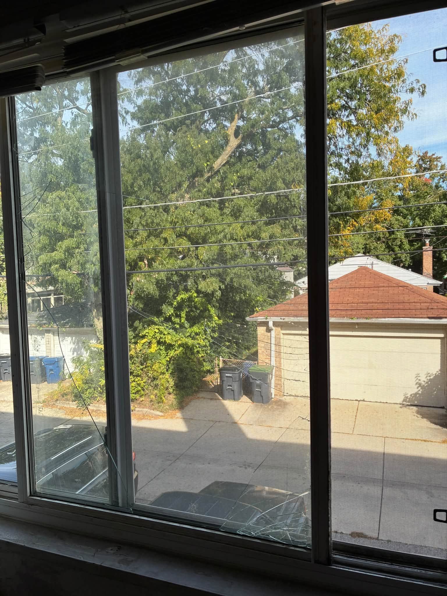 View through a window of a driveway, garage, and trees on a sunny day