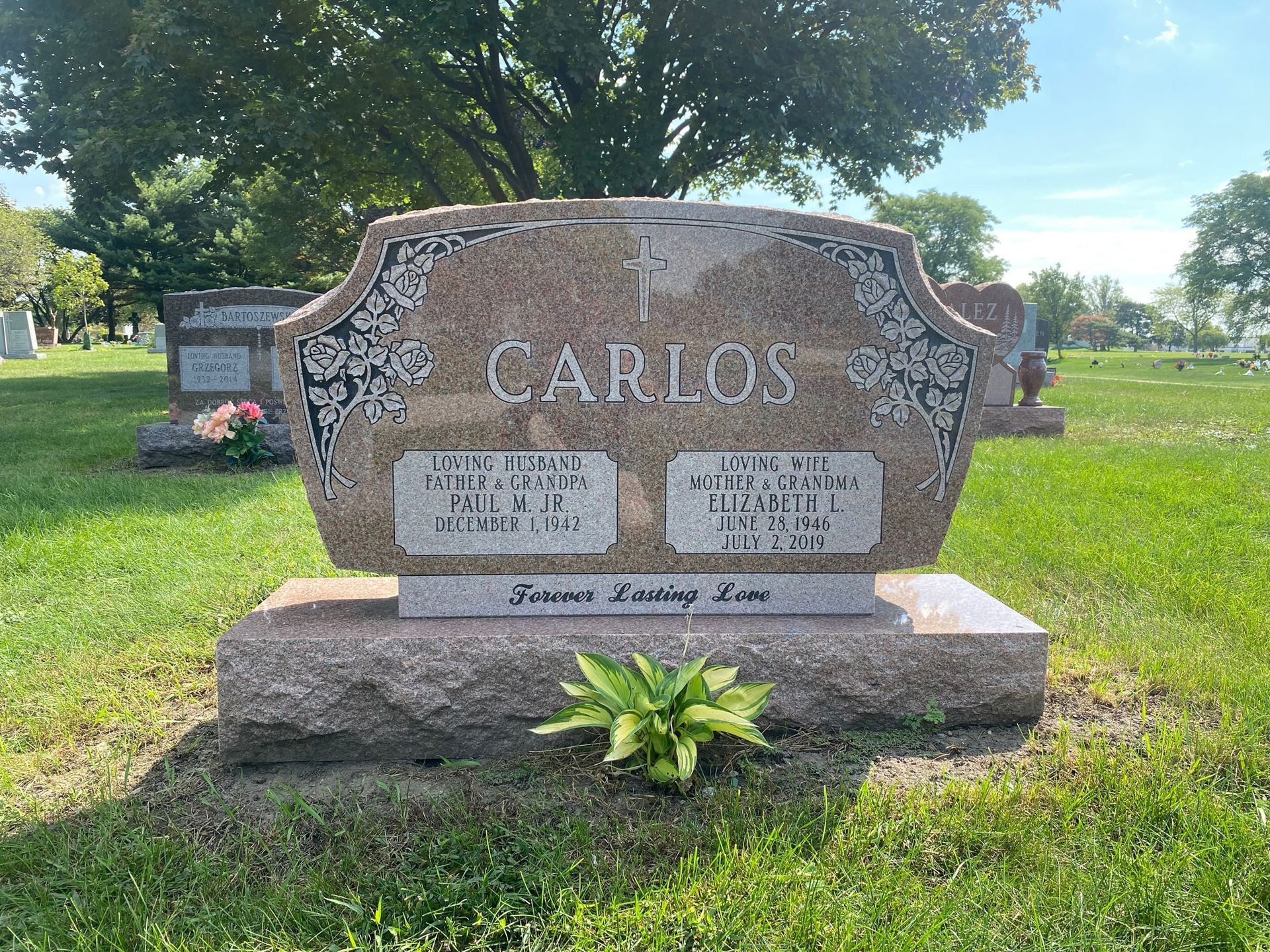 A pink granite double headstone for the Carlos family, engraved with names and dates, centered in a grassy cemetery.