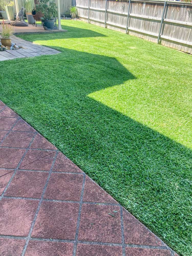 High-Quality Backyard Green Lawn Turf For Your Garden — All Assist In Bellingen NSW