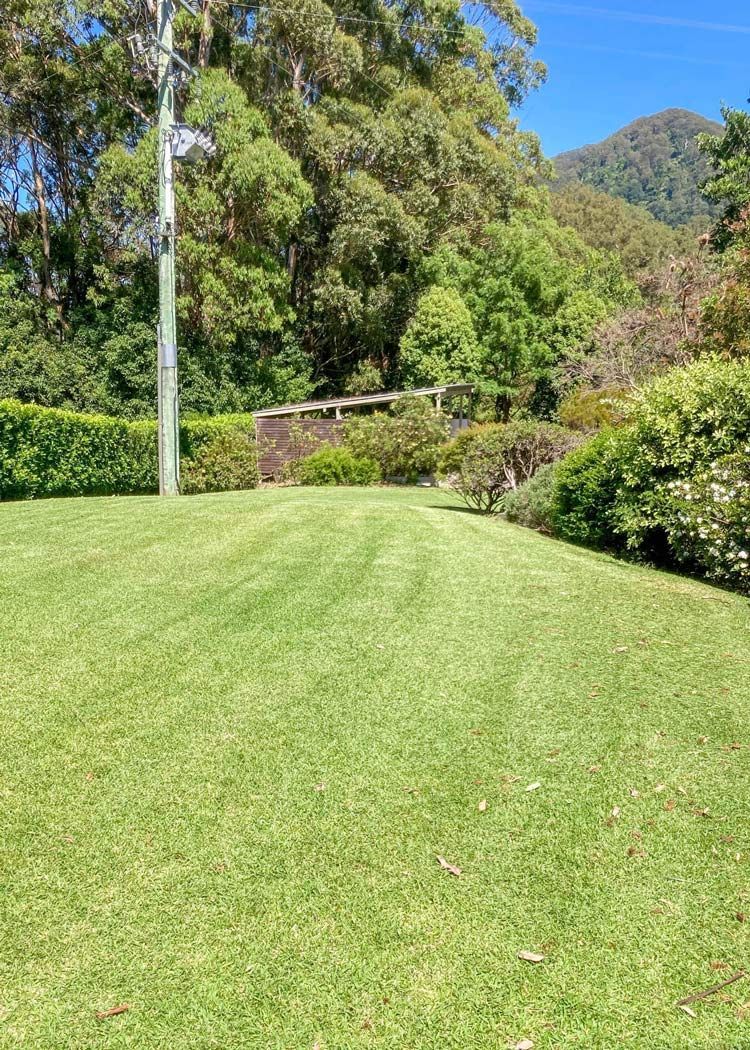 Scenic and Tidy Lawn, Grass, and Garden — All Assist In Bonville NSW