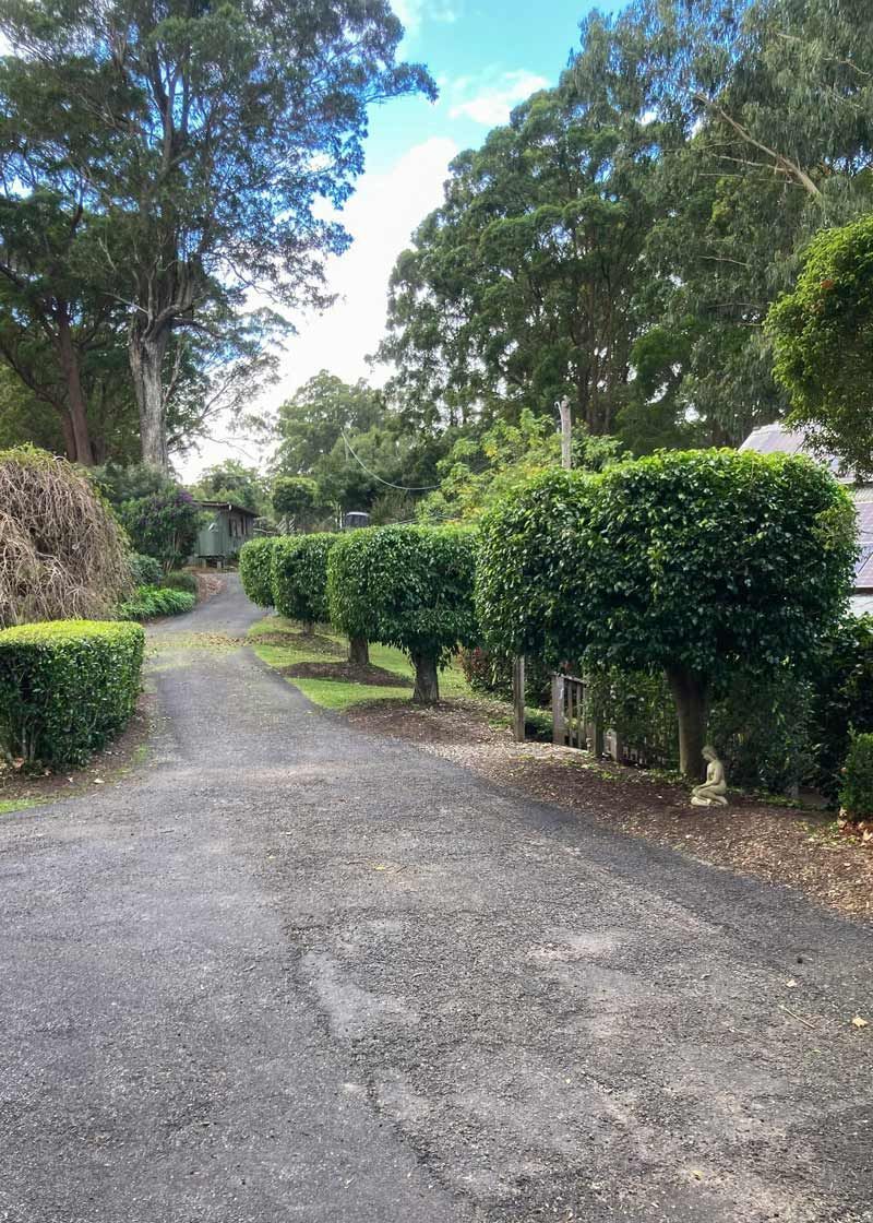 Stunningly Pruned Trees And Street-Side Design — All Assist In Bonville NSW