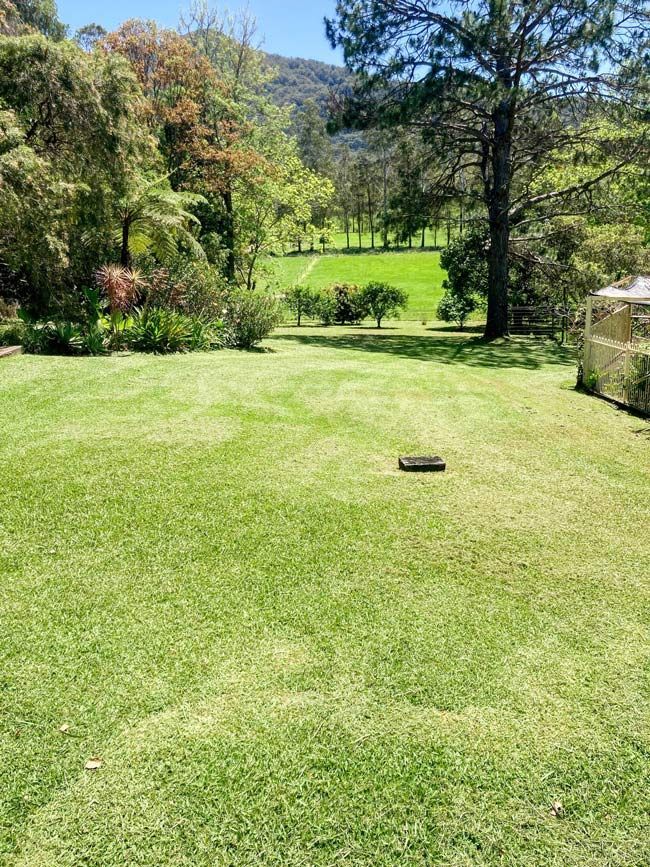 Stunning Garden Featuring A Spacious Landscaped Lawn — All Assist In Bonville NSW