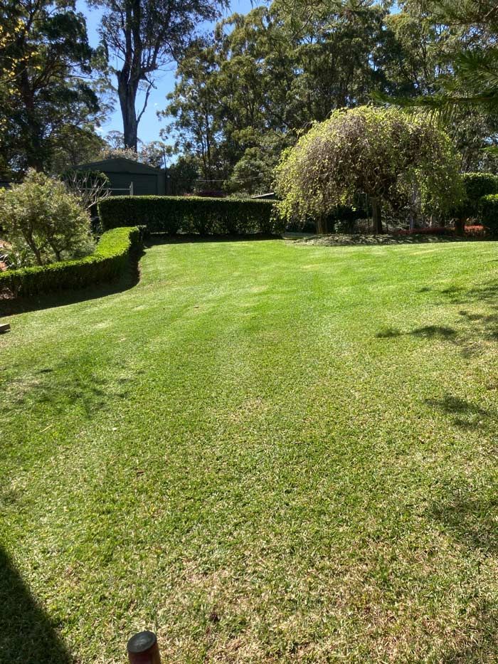 Exquisite Landscape Design And Gardens — All Assist In Bonville NSW