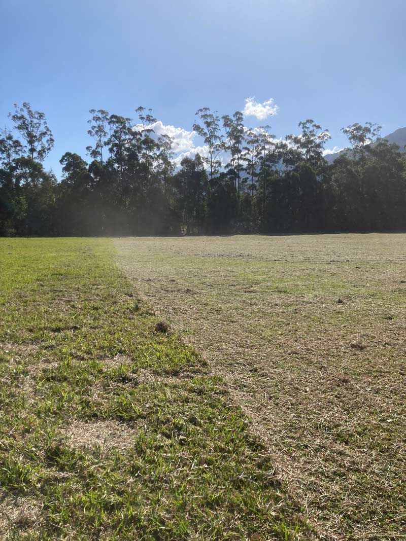 Transformation Through Professional Lawn Care Services — All Assist In Bellingen NSW