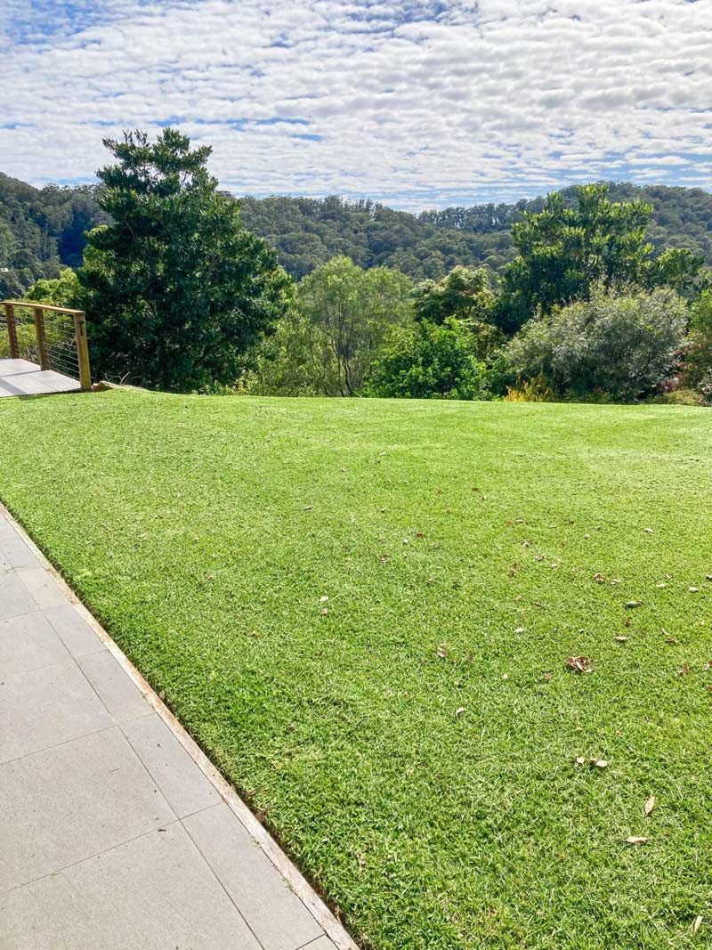 Lush Green Bermuda Grass In Abundant Growth — All Assist In Bellingen NSW