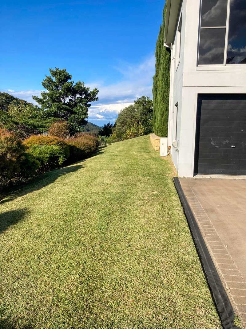 Beautiful Home Garden With A Lush Lawn— All Assist In Bellingen NSW