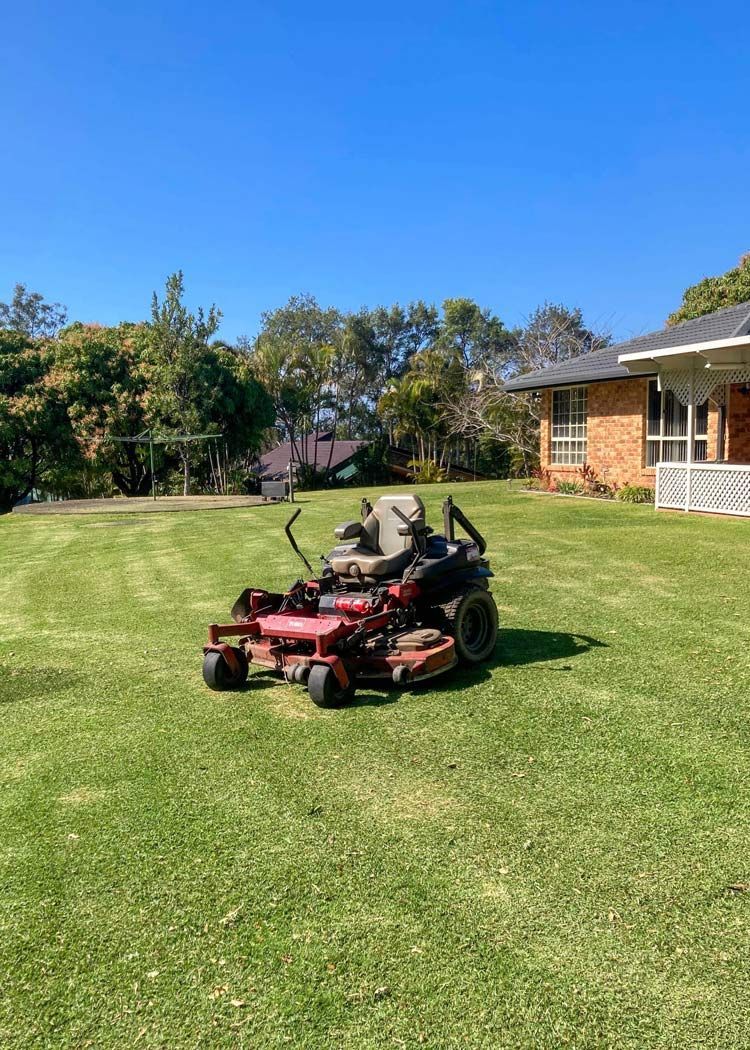Spacious Garden With Lawn Mower — All Assist In Bonville NSW