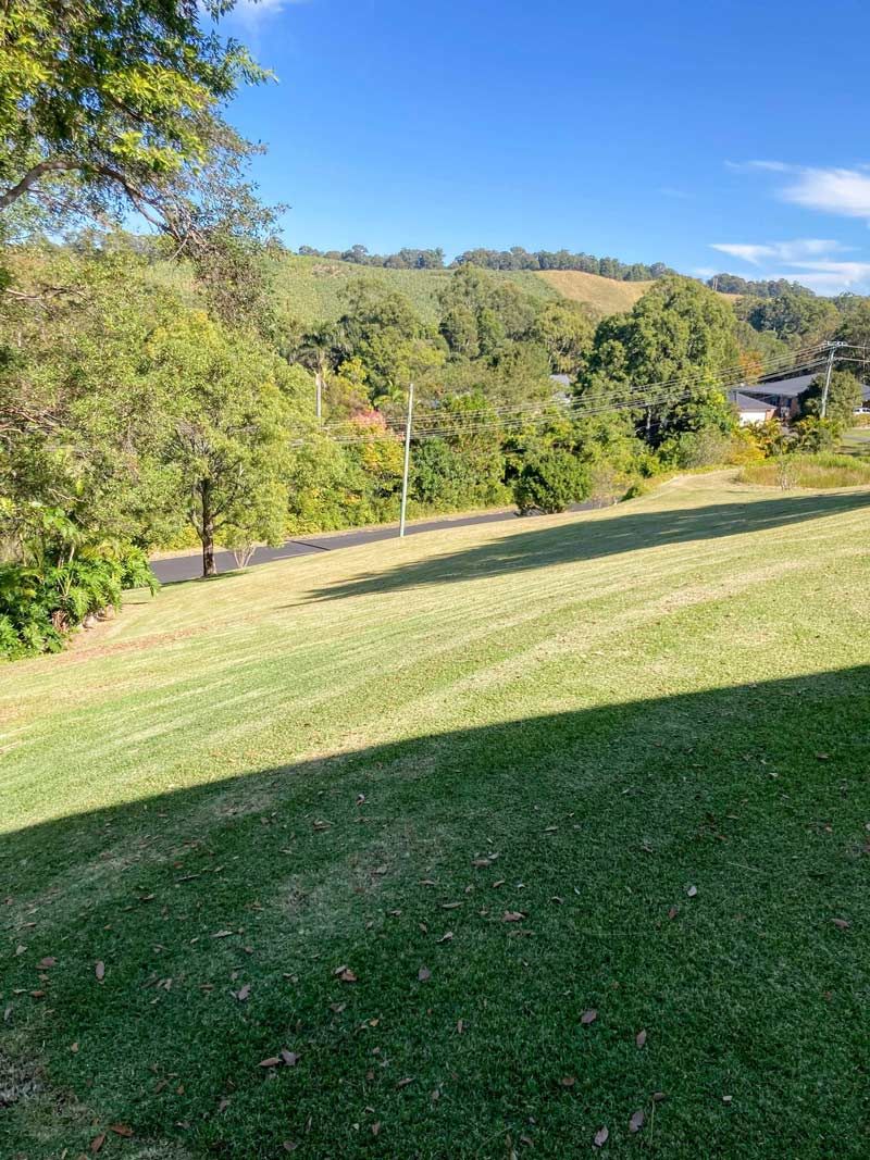 Expansive Lawn Featuring a Majestic Tree Backdrop — All Assist In Bellingen NSW