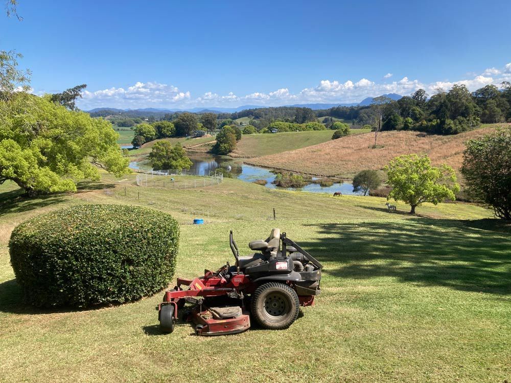 Efficient Lawn Mower Equipment For Cutting And Maintaining Lush Green Grass — All Assist In Bonville NSW