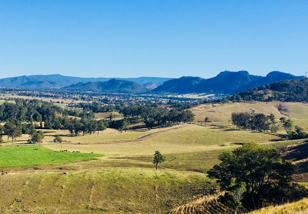 Scenic Hillside Landscape With Trees — All Assist In Nana Glen NSW