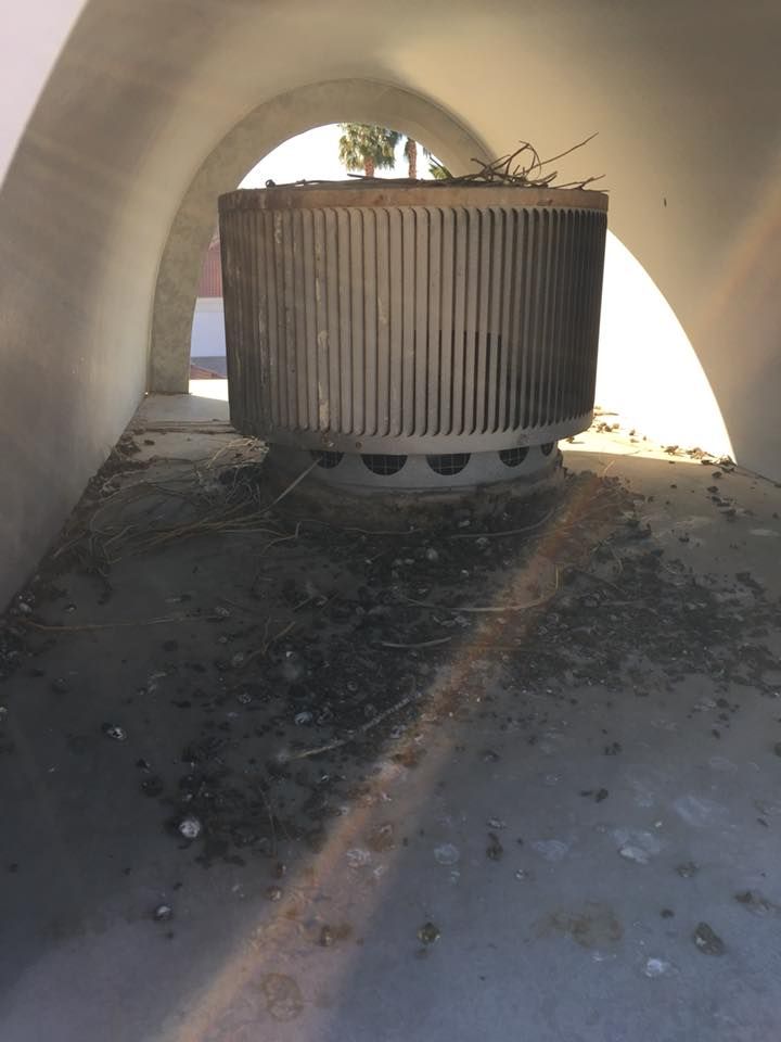 Before Clean Up in Las Vegas, NV