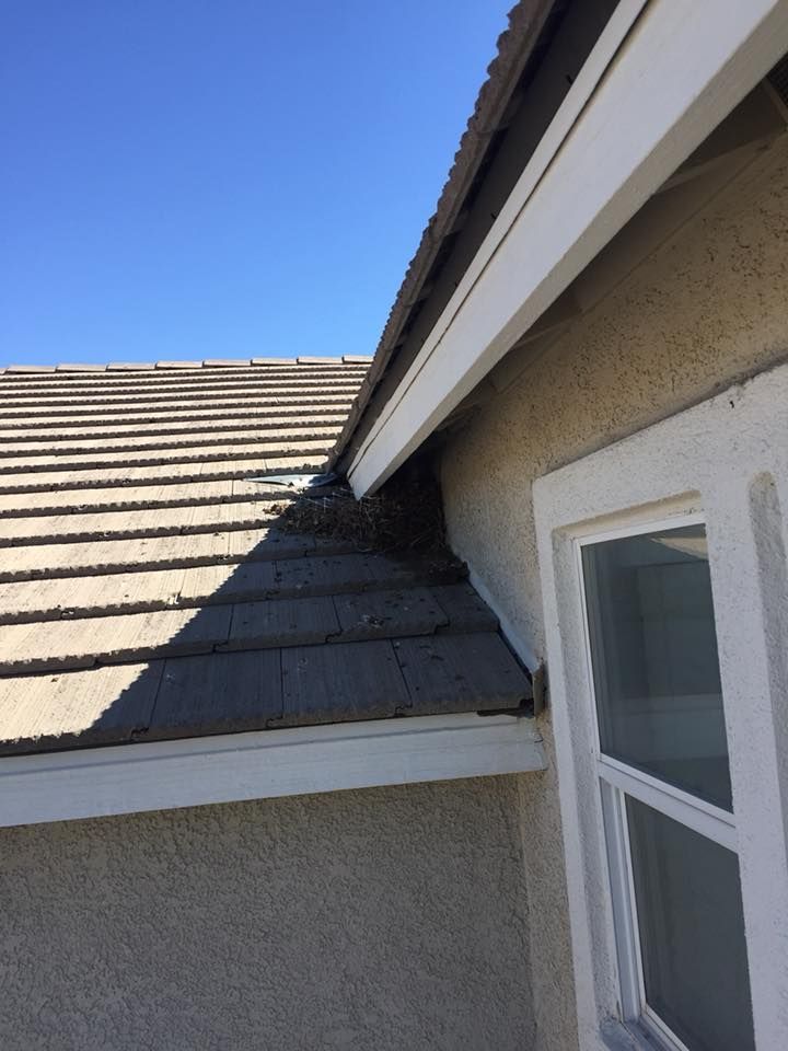 Before Roof Clean Up in Las Vegas, NV