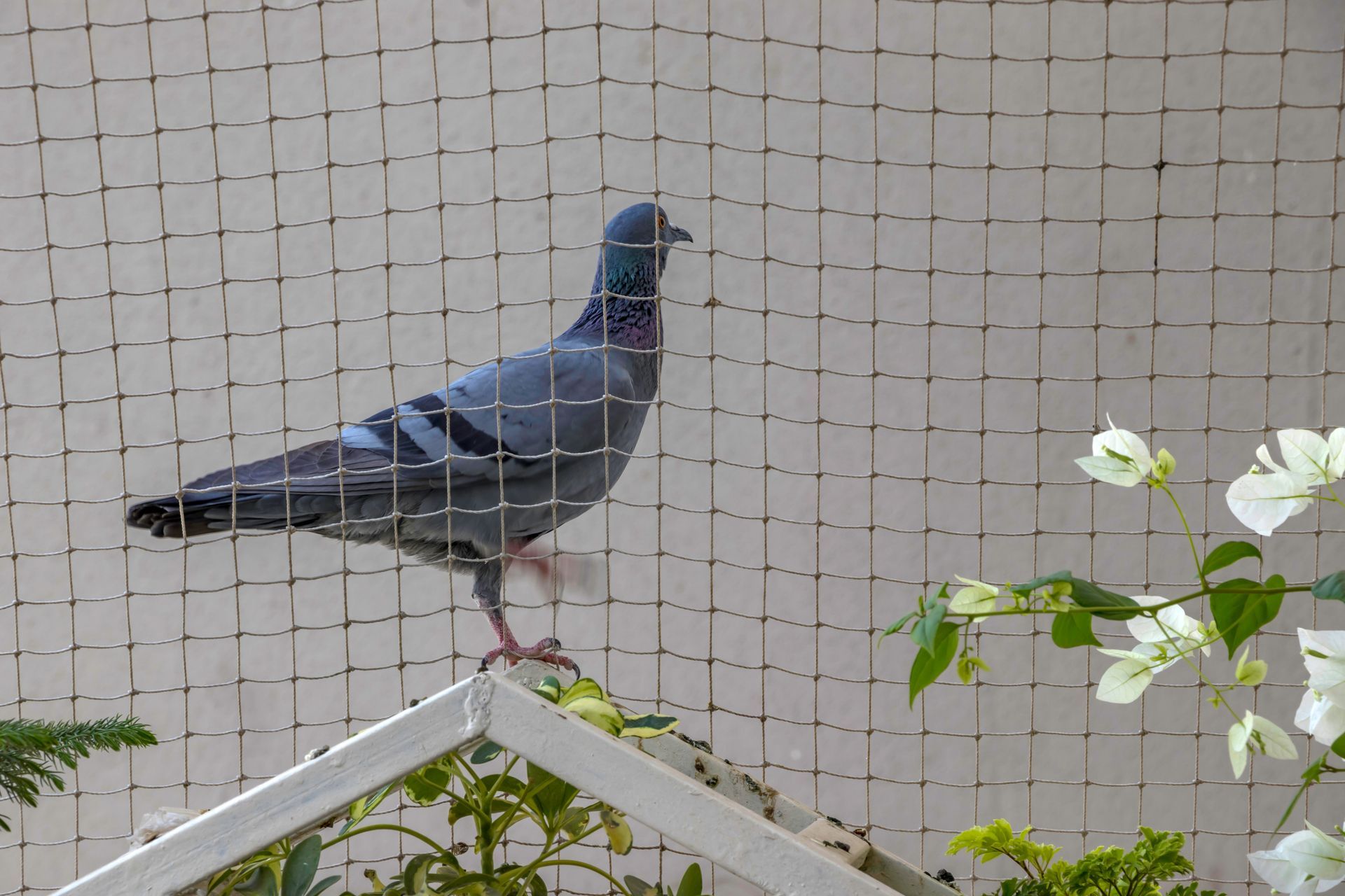 StealthNet Bird Netting