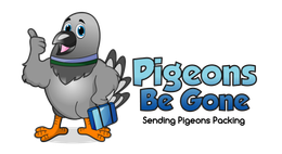 Pigeons Be Gone