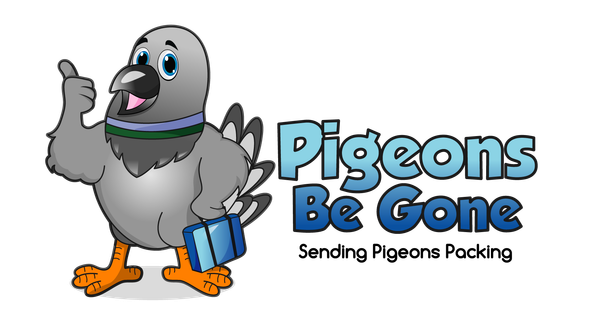 Pigeons Be Gone