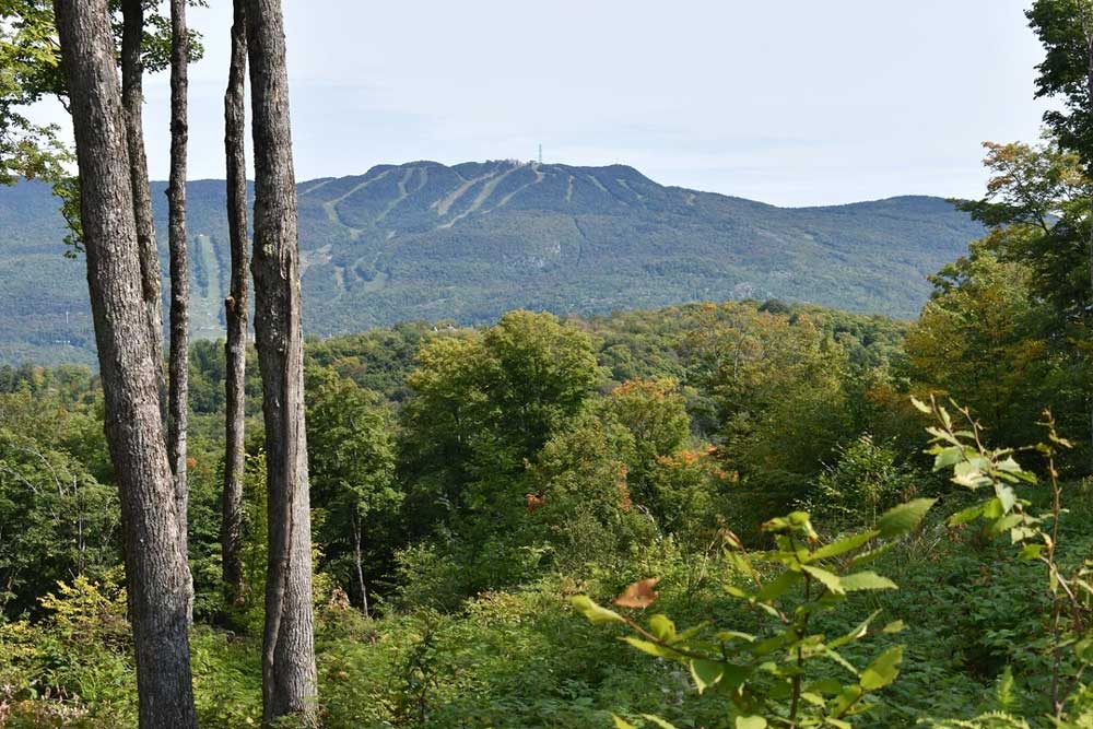 Création de vue panoramique