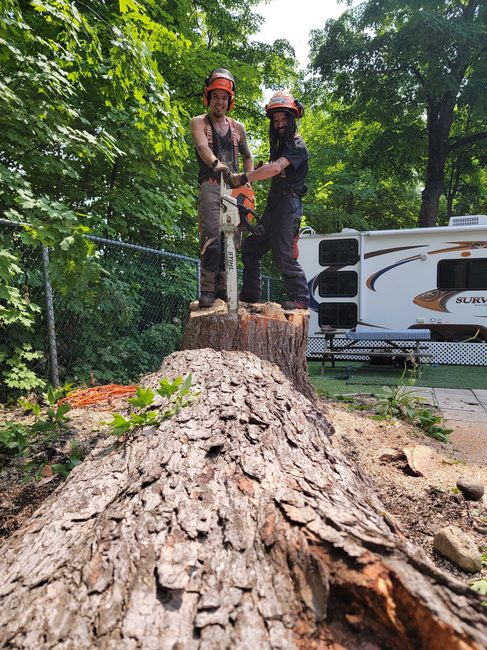 Deux bucherons fiers sur une grande souche