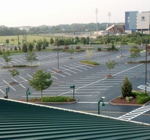 Empty parking lot with marked spaces, small trees, and a distant building under an overcast sky